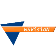 WSVisison.png